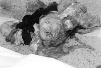 dead56b.gif