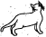 cat2.gif