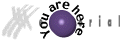 You are here