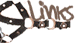 links3.gif