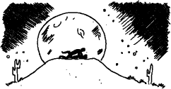 darwin1.gif