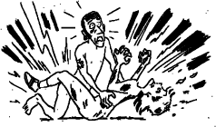 darwin2.gif