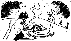 darwin3.gif