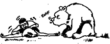 darwin4.gif