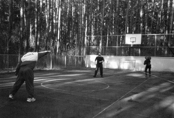 lebedfun65b.gif