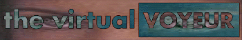 The Virtual Voyeur