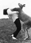 DAILY INQUISITION: Animal Righteousness