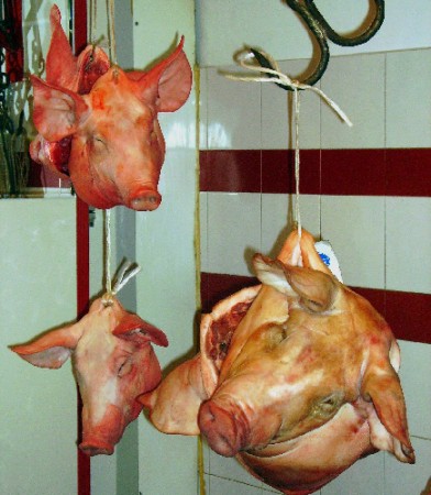 pigs_heads_435w