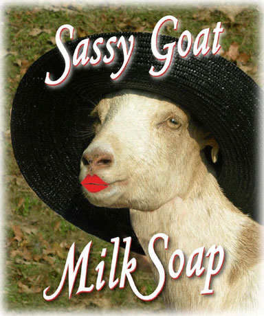 goat-cute goat-cute