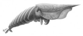 intelligent-design-500-million-years-ago