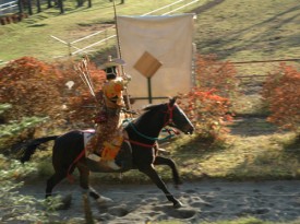 hoirsebacksamurai hoirsebacksamurai