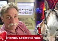 horsley-mule horsley-mule