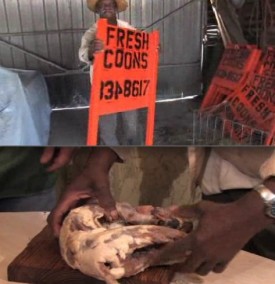 Coon Capital Coon Capitol
