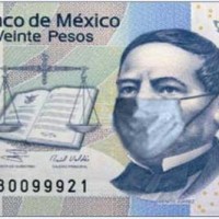 No, I'm Not Dead: Swine Flu Dispatch From Mexico