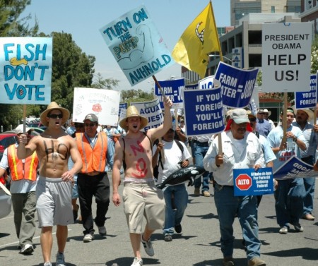 640_fish_don_t_vote