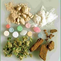 An eXiled Recap: Recent Drug Trade Coverage You Might Have Missed