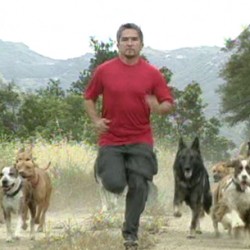In Praise of The Dog Whisperer