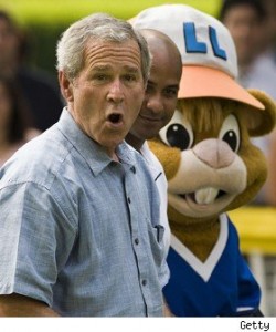 bush1 bush1
