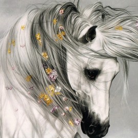 romantic-horse-rand-paul romantic-horse-rand-paul