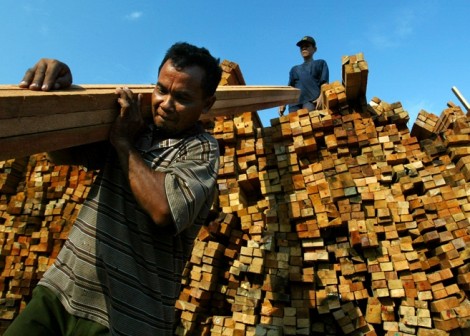 Koch Logging