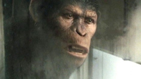 080411_makingofapes_640