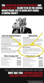 israel lobby ad ackerman