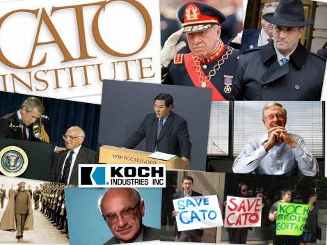 save-cato-kochs-banner