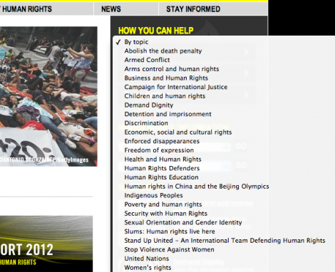 amnesty list2