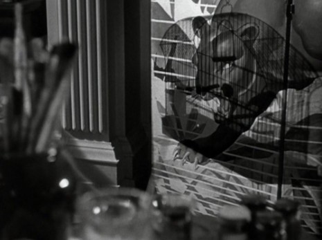 cat-people3
