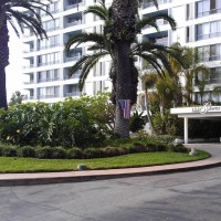 Letter from Los Angeles: Election Night Yeast Infection Nightmares 
