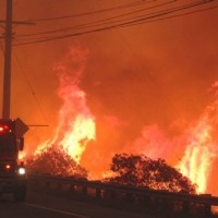 Burn, Malibu, Burn! — Fire: The Most Effective, Underused Weapon in the World